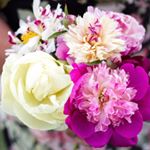 Memorial Day Flowers - We have peonies!
